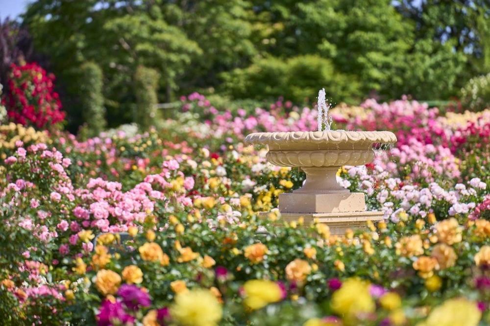 Wishton Hotel Yukari Sakura  Zewnętrze zdjęcie